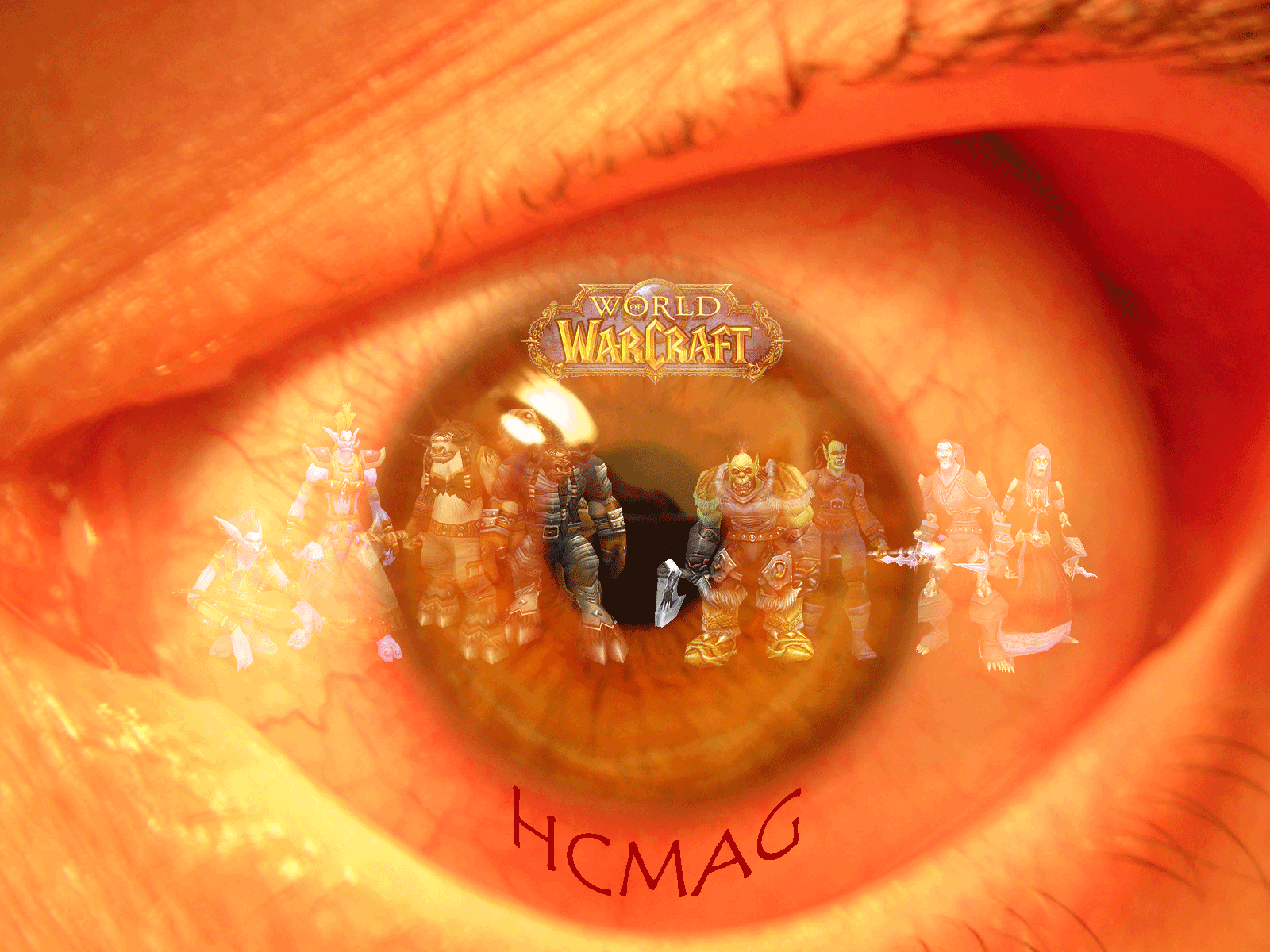Das HCMAG-Logo von 2005